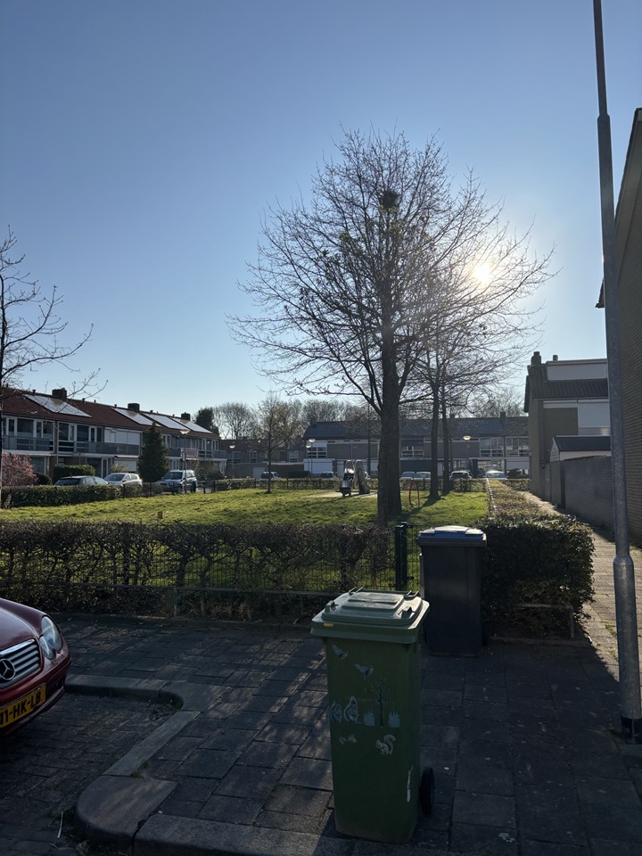 Dongestraat 23