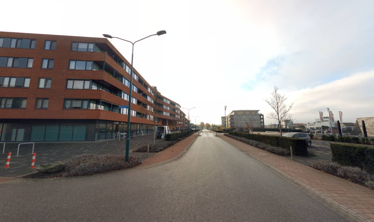 Lavendel 278