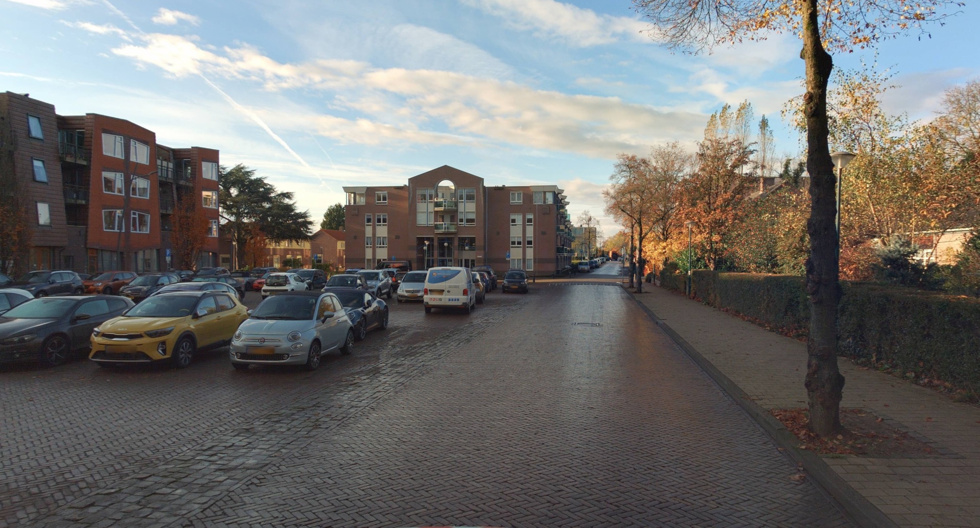 Kaneelstraat 100