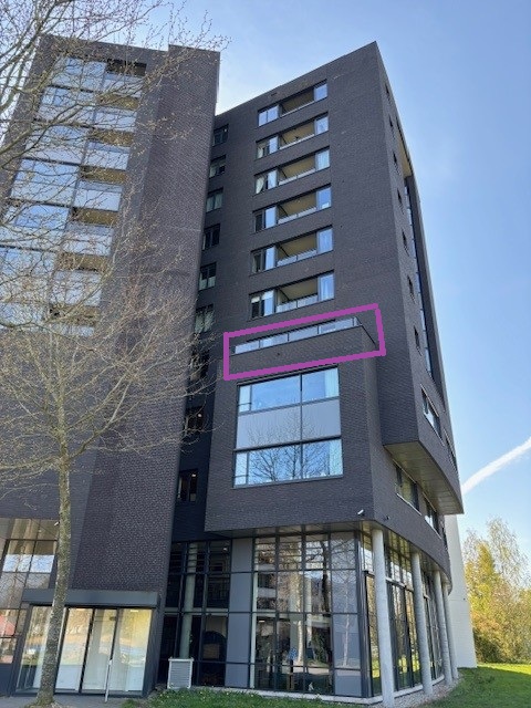 Manis Krijgsmanhof 7, 5233 BR 's-Hertogenbosch, Nederland