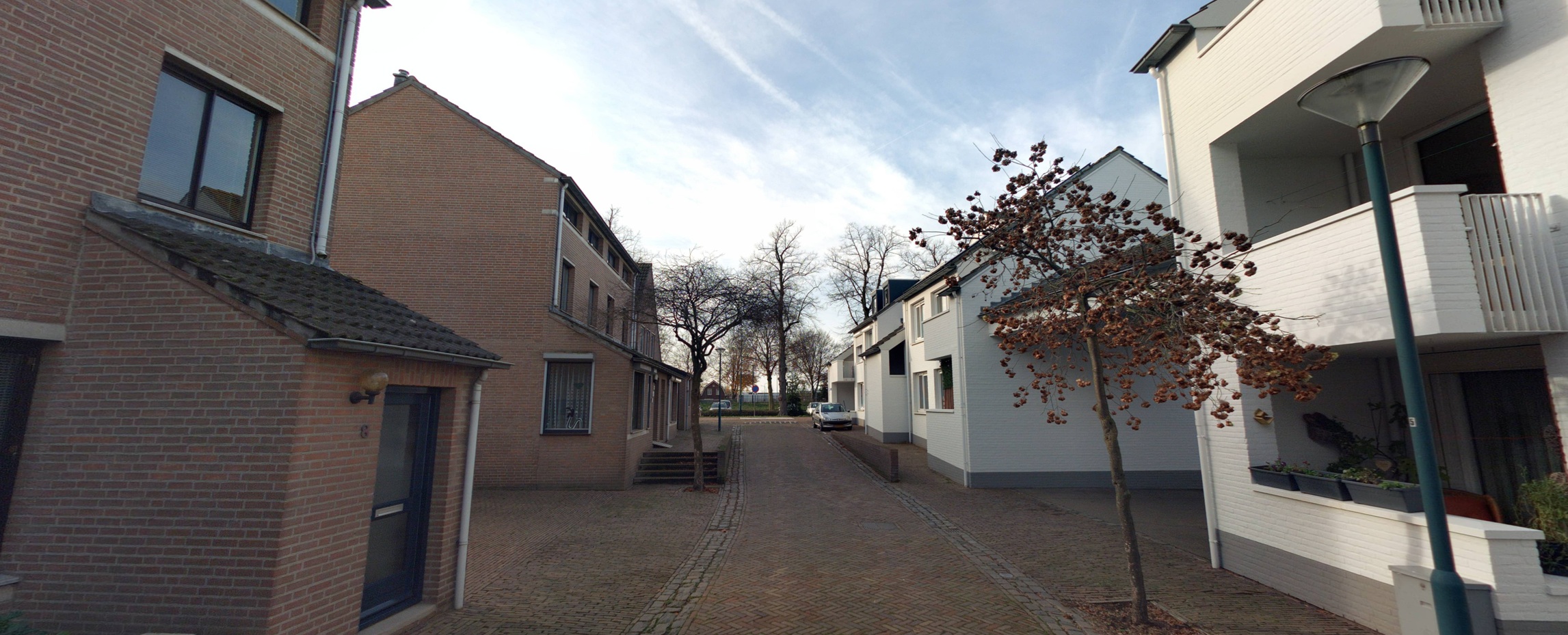 Kruishout 13