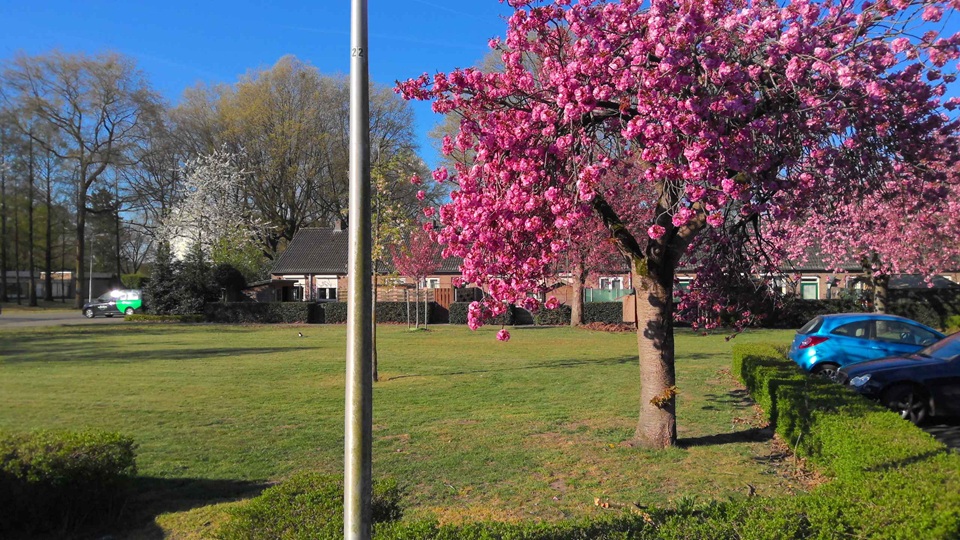 Van Veldekestraat 75