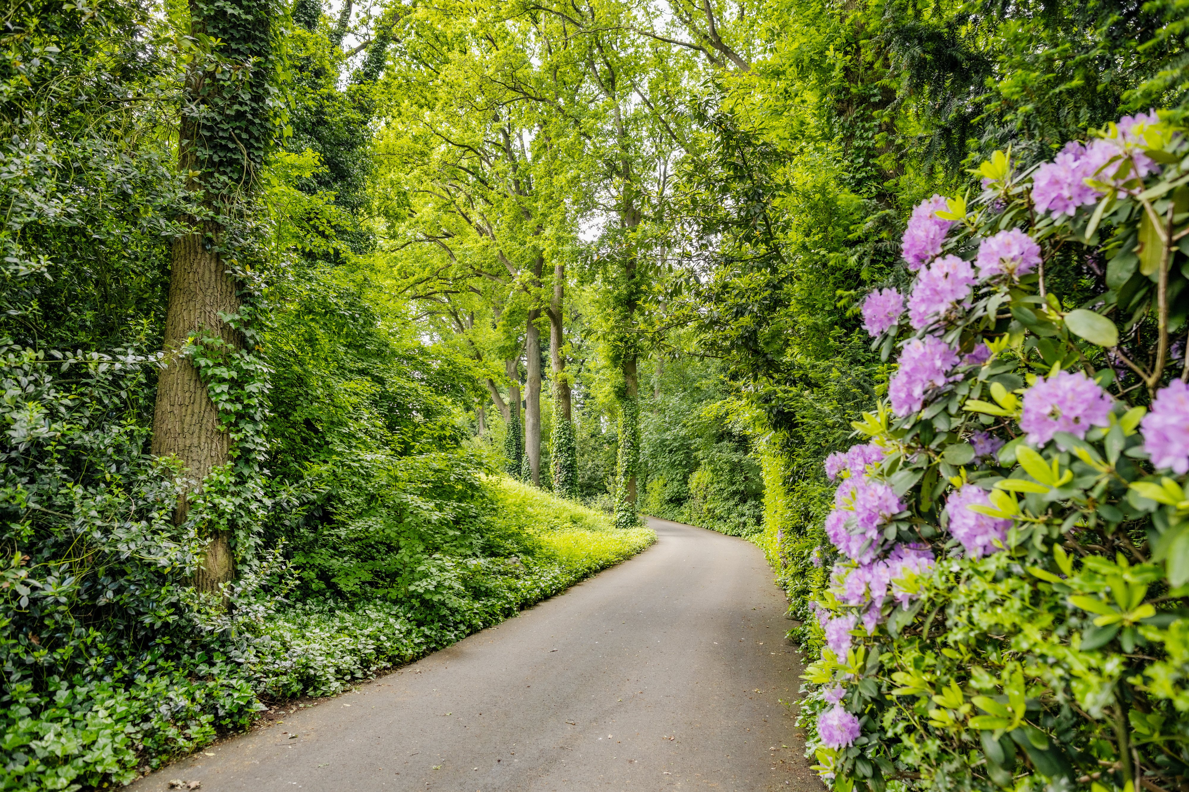 Park Eikenheuvel 309