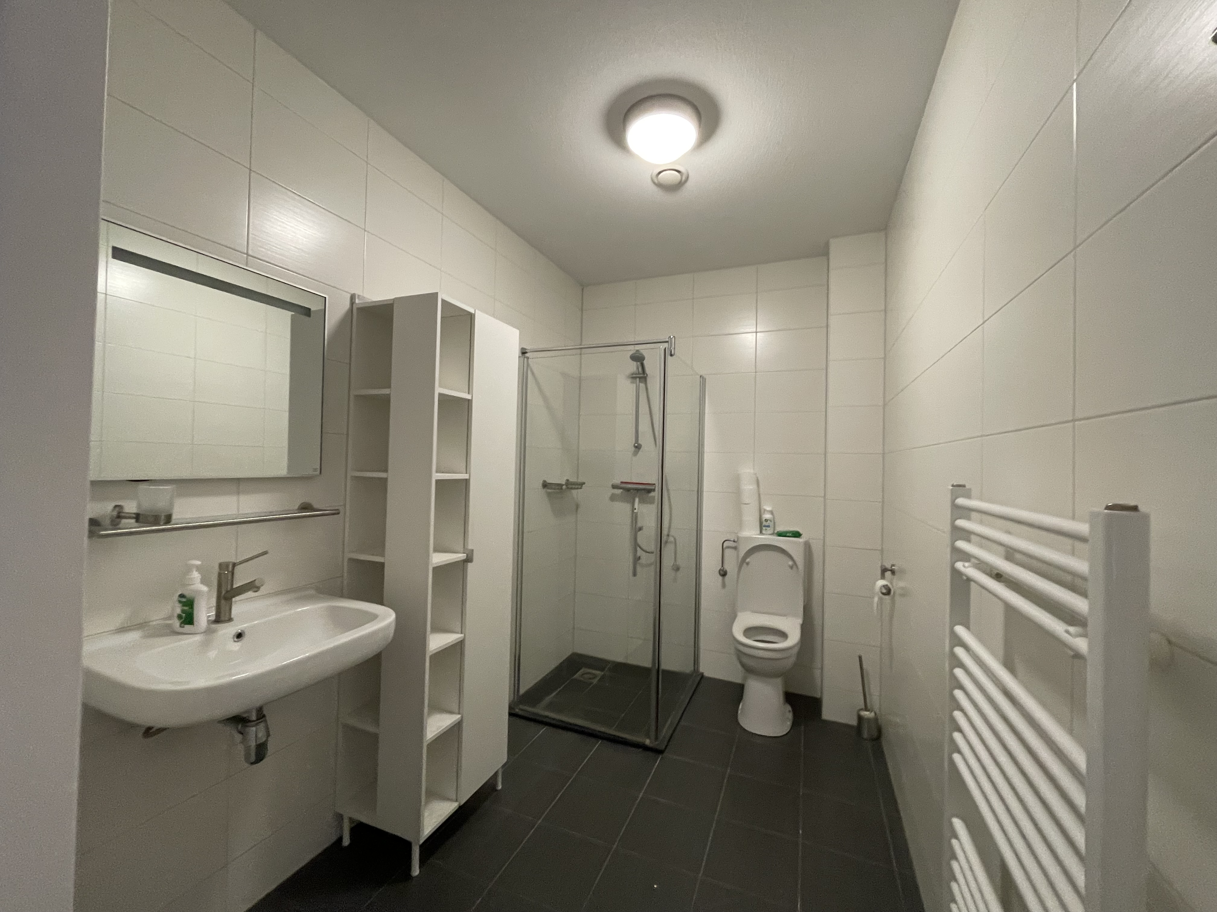 Vicaris van Alphenstraat 6l