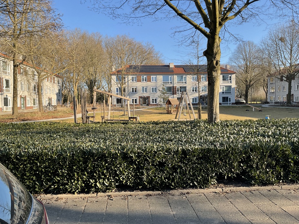 Pieter Breughelstraat 13