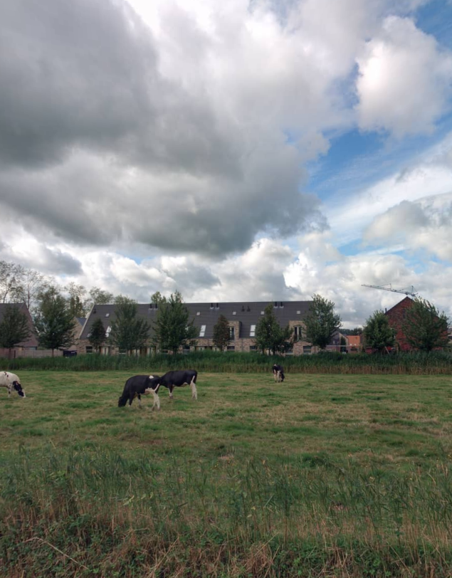 Herenakker 12, 5463 LD Veghel, Nederland
