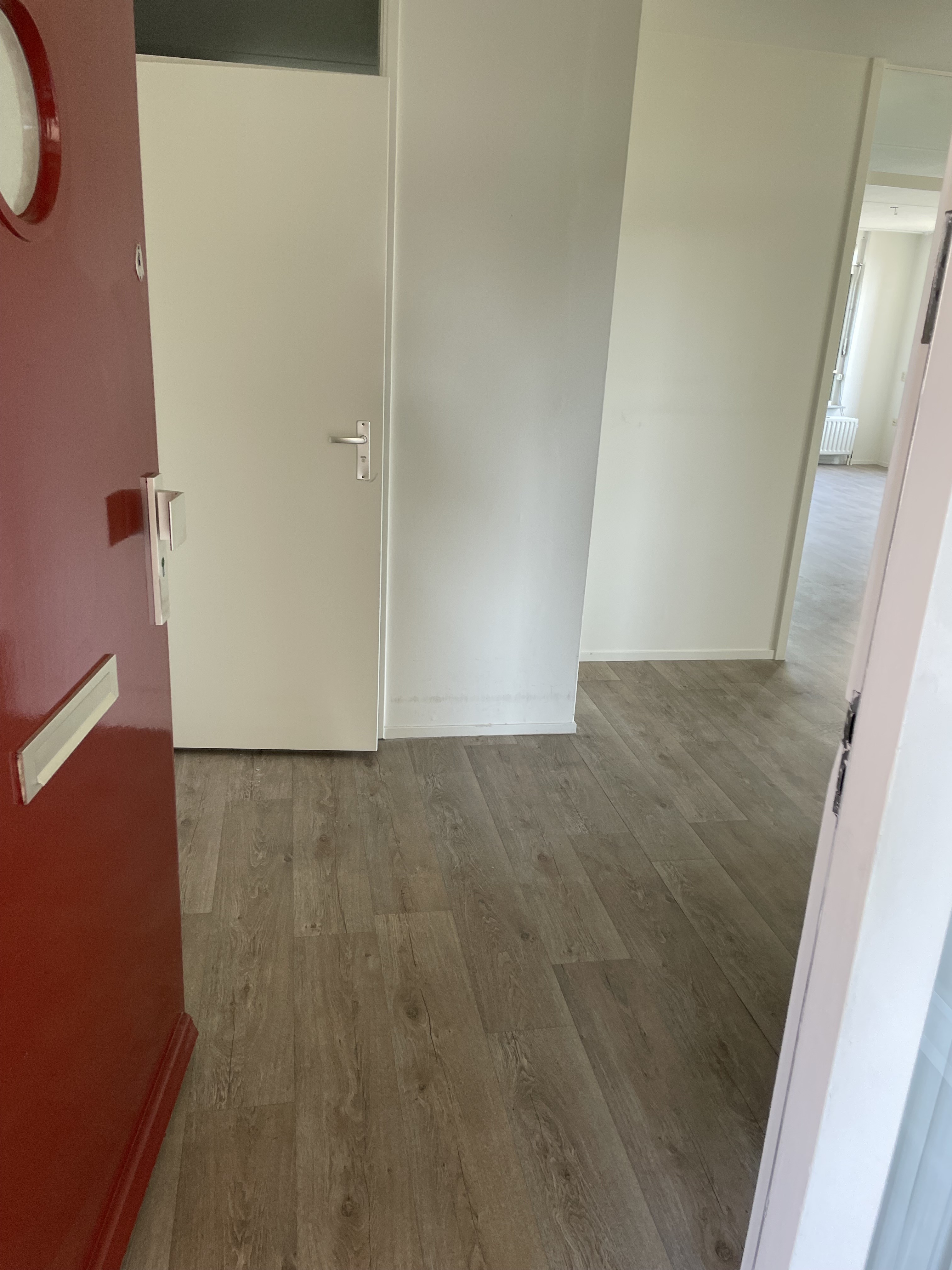Dommelstraat 59