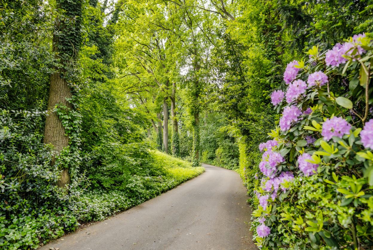 Park Eikenheuvel 207