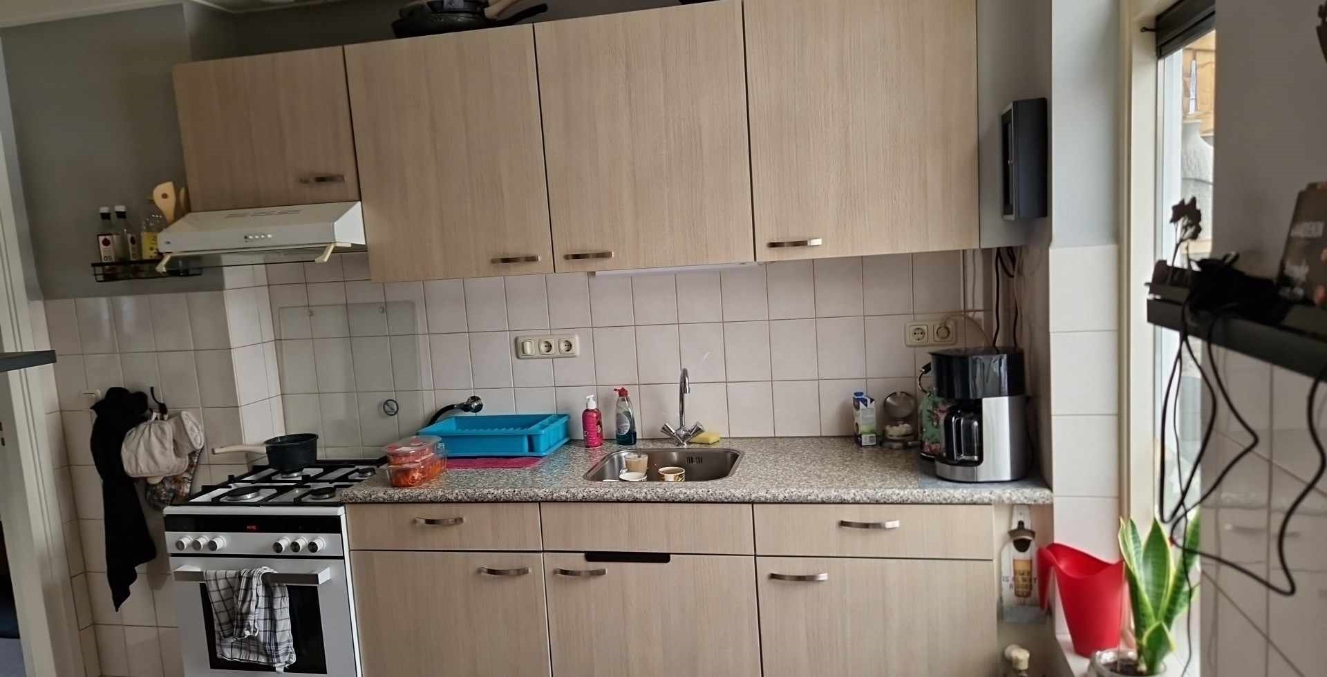 Professor van de Brinkstraat 19