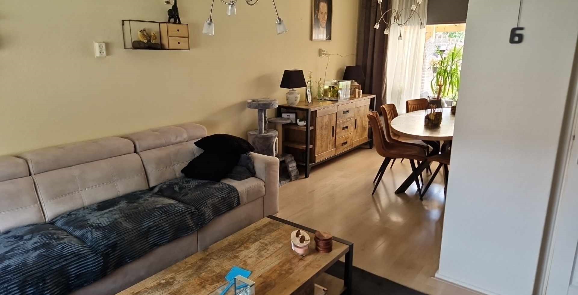 Professor van de Brinkstraat 19