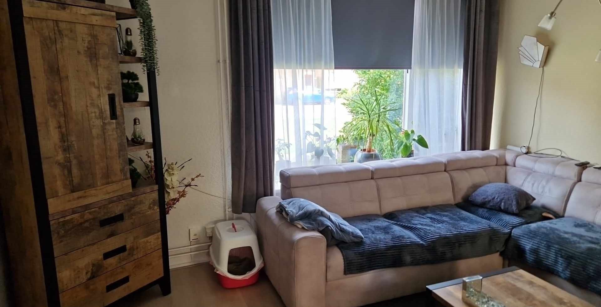 Professor van de Brinkstraat 19