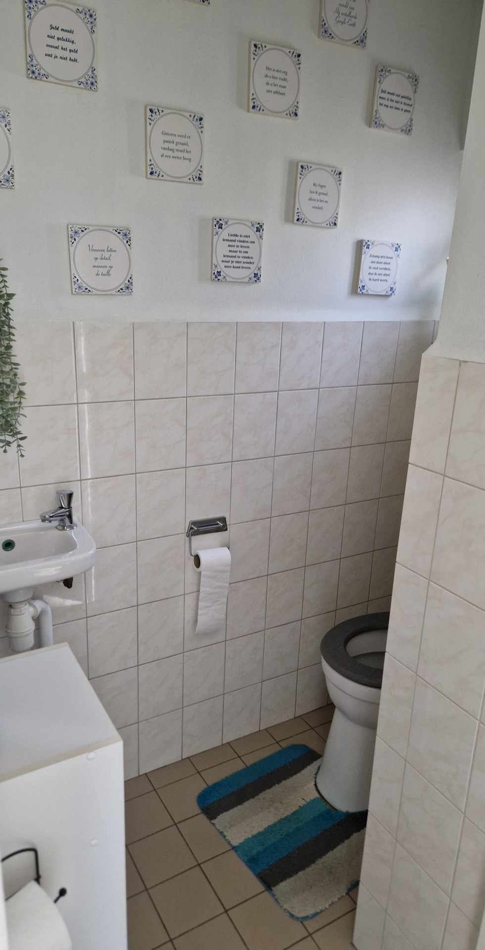 Professor van de Brinkstraat 19