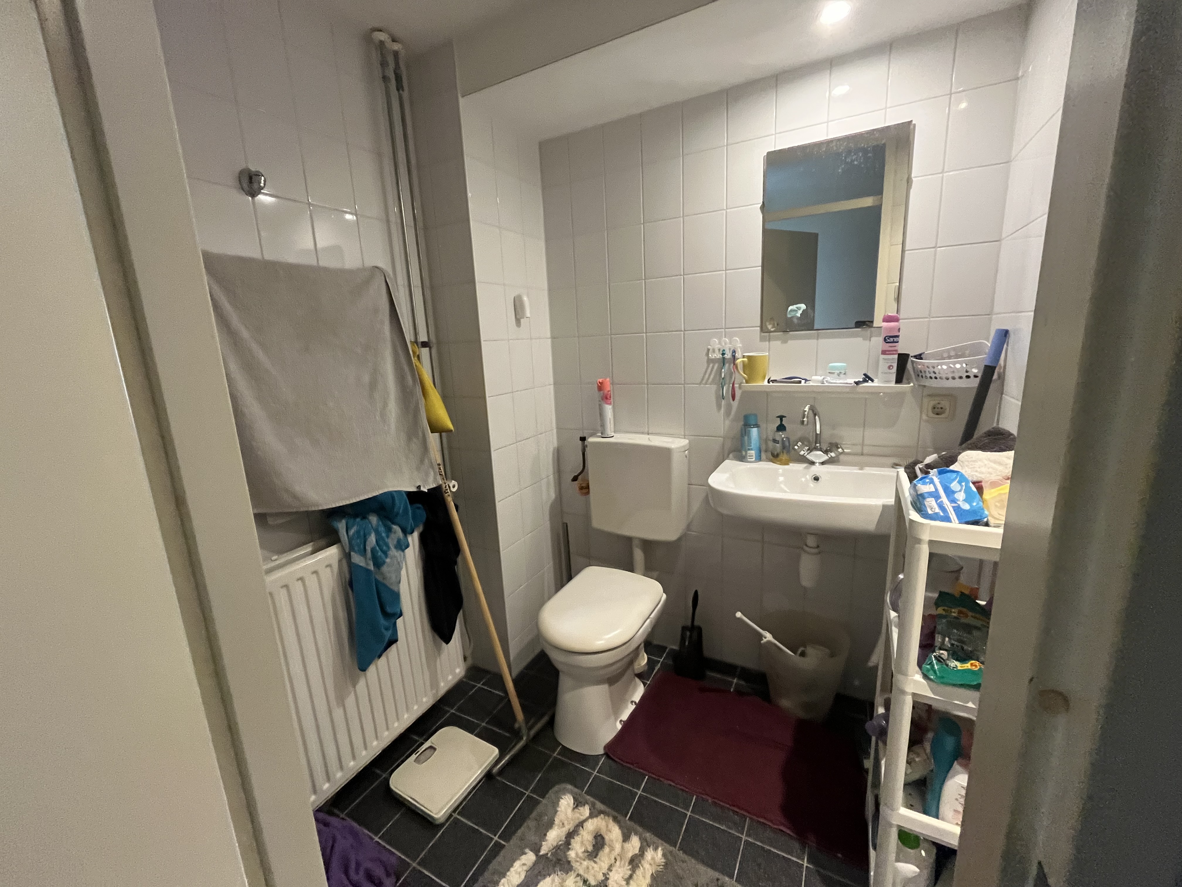 Jozef Israëlsplantsoen 29